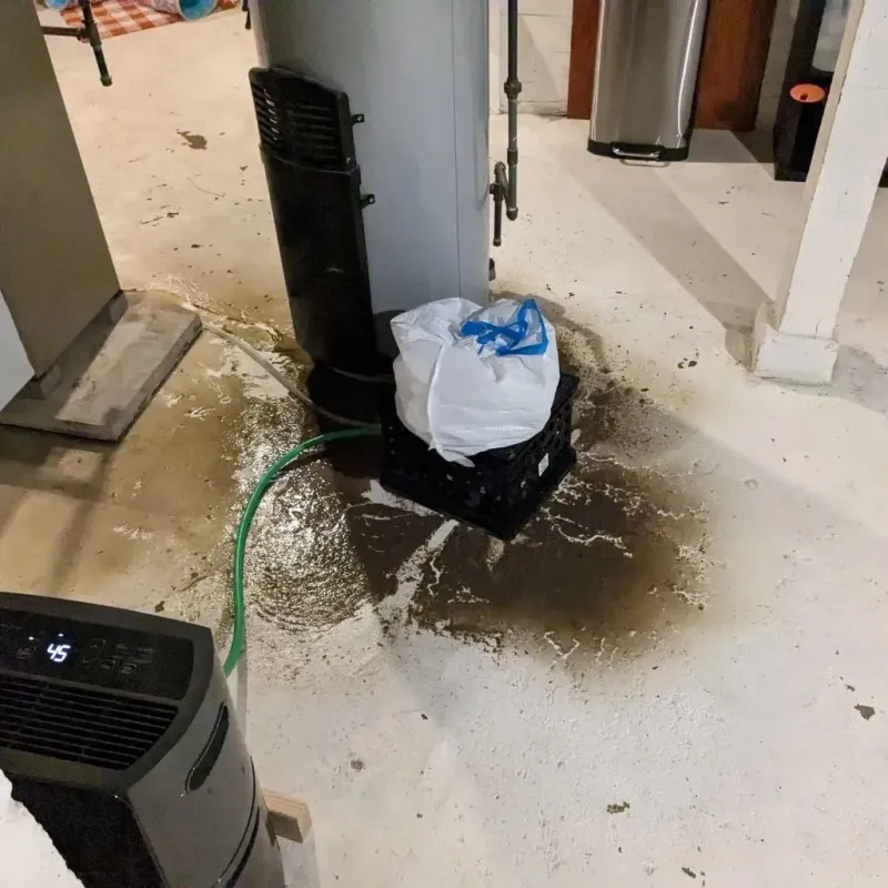 Sewage Backup Cleanup Service in Amite County, MS